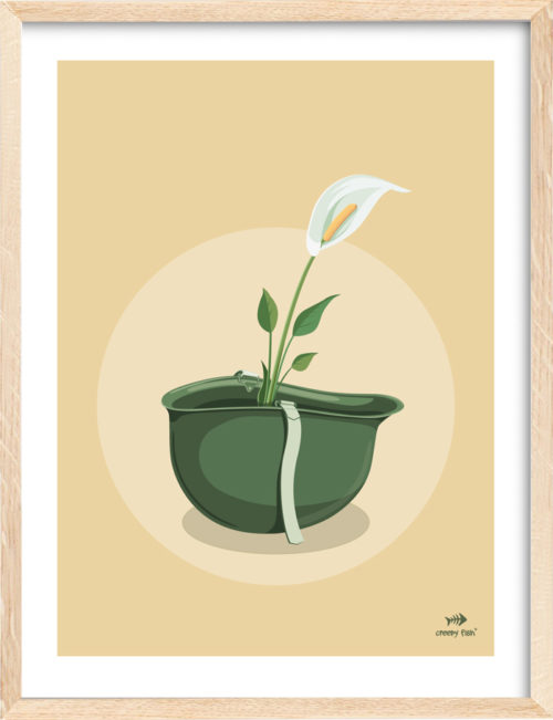 Peace Lily, Extra limited edition