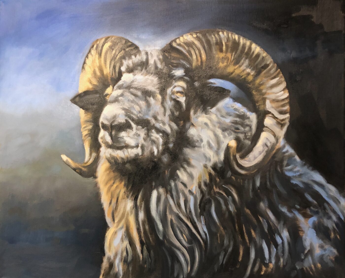 Sheep-shape, olje på lerret