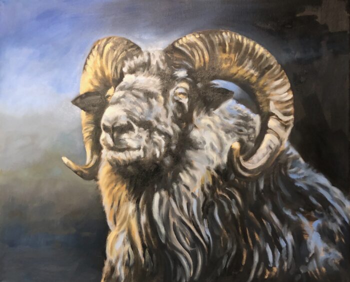 Sheep-shape, olje på lerret